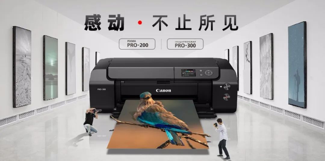 集体撤离?关于打印机的一点闲篇……