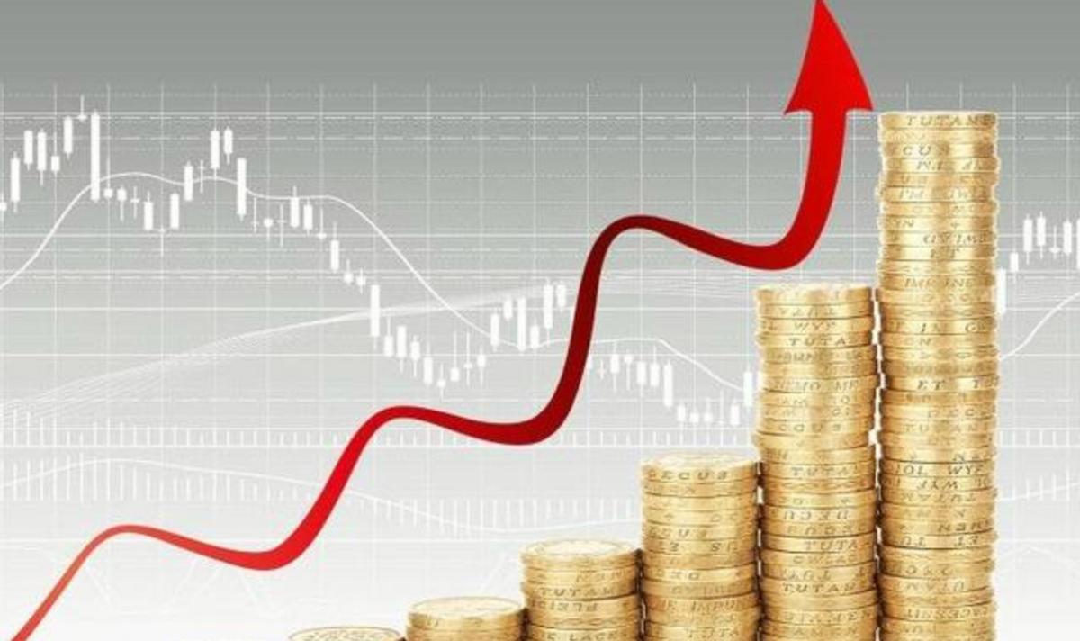 理财必学,最具成长性的大盘股