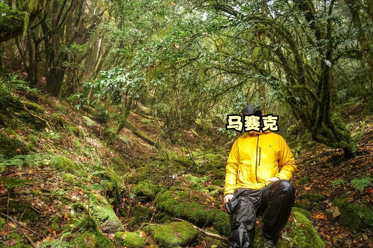 山系户外棉服推荐,始祖鸟和山浩哪个好