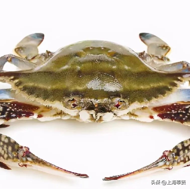 孕妈妈食疗全指南,孕期适合吃哪些水产海鲜类