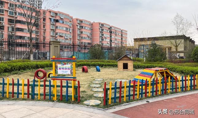 世界500强企业碧桂园：契合新型城镇化精准布局，逆市中保持韧性