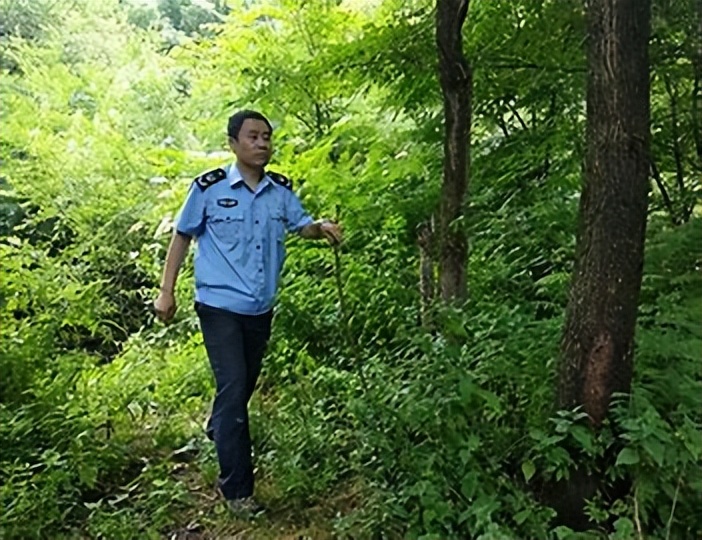 利用林业资源带动经济发展的举措,利用与发展