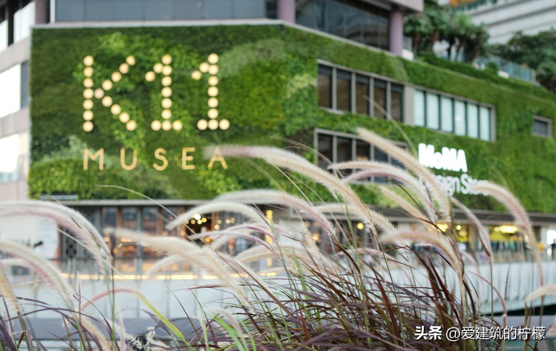 恢复通关后能去香港旅行吗,香港通关以后回内地哪个港口不查