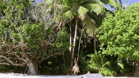 4月1恢复直航，马云刚去过的宝藏免签海岛藏不住了！