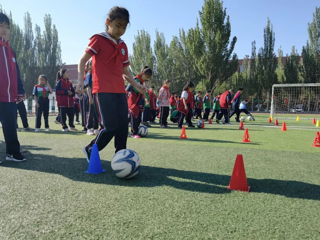 骨干教师示范引领个人工作总结,省市区优秀教师示范引领