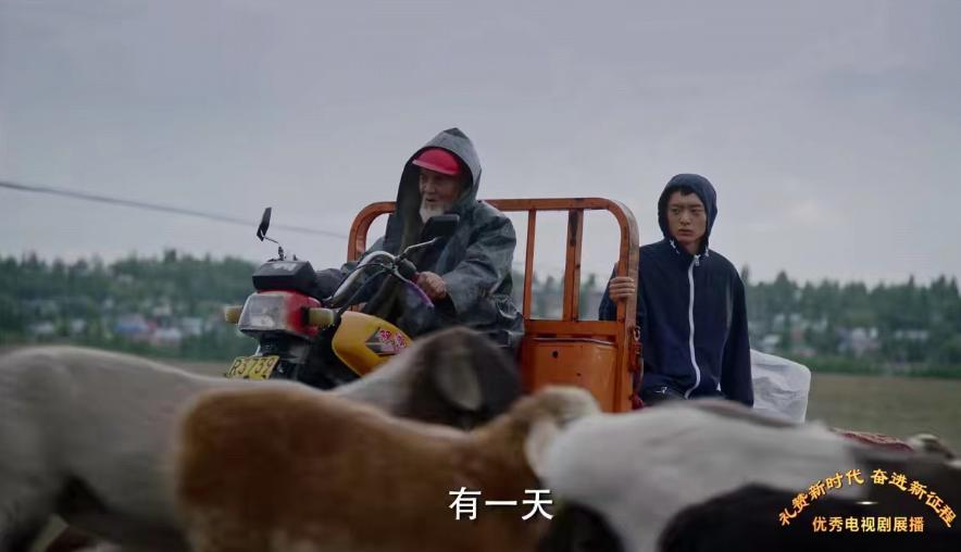 我们这十年热爱篇免费观看,我们这十年热爱结局