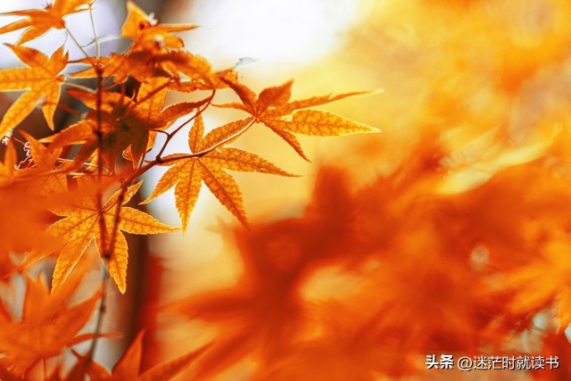 上班族日常消费行为,上班族5个赚钱技巧