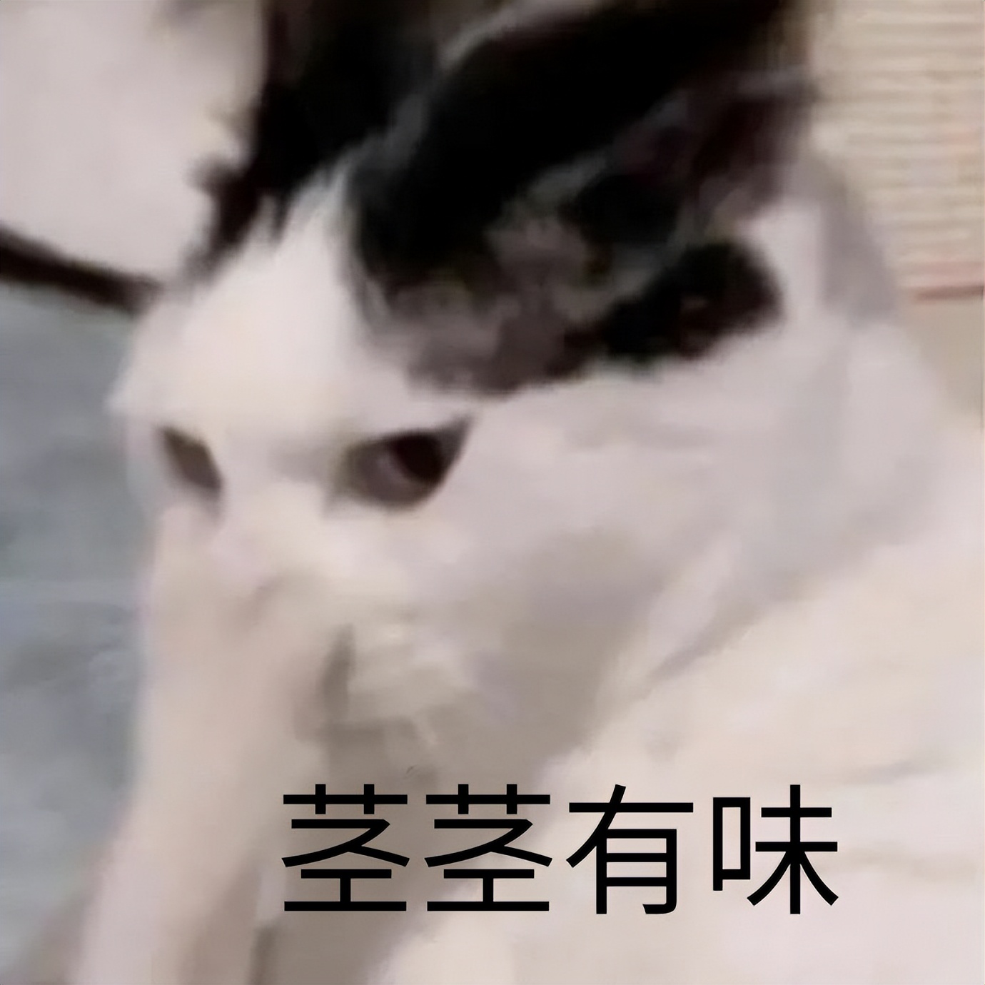 小心！啪啪啪姿势不对，会有大危险