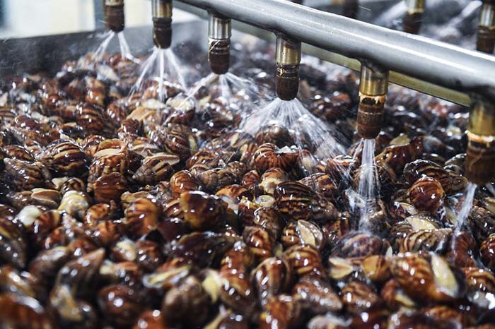 蜗牛可以做花肥吗,蜗牛做美容产品