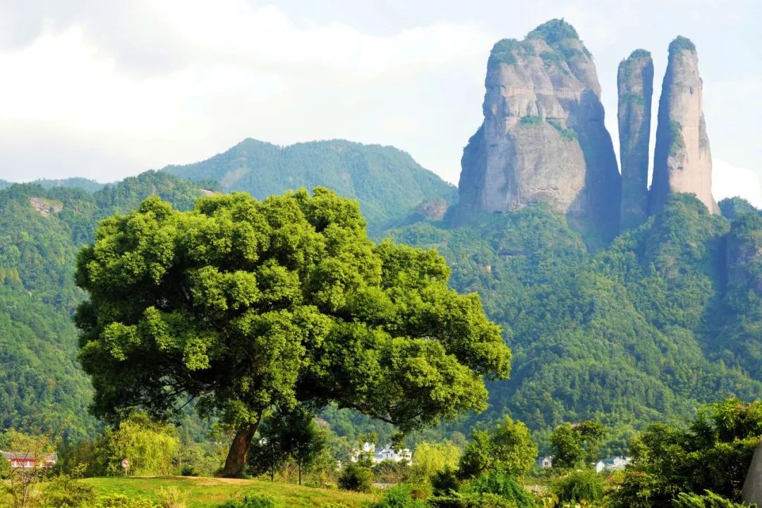 浙江十大公路自驾,浙江神仙居自驾游2-3天推荐