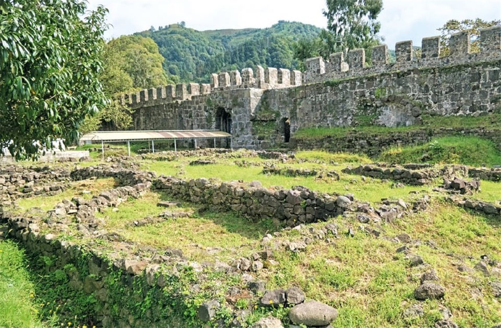 加蓬黑脸猩猩,加蓬长尾猴图片