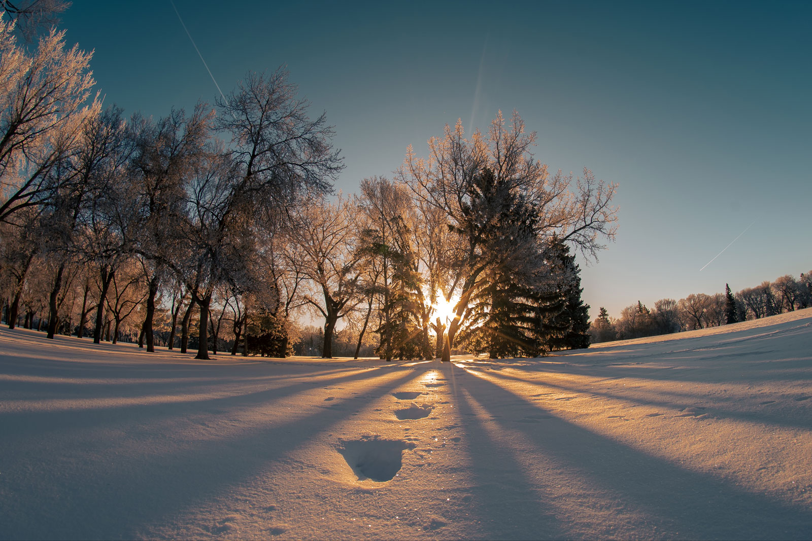 图丽鱼眼镜头,图丽24-40镜头画质好不好