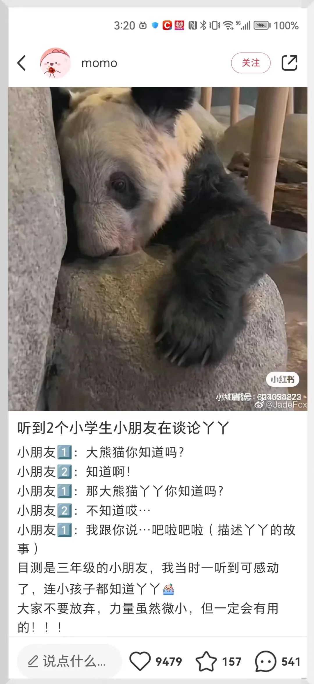 秒出100万！认养丫丫们背后，他们竟是最大赢家？