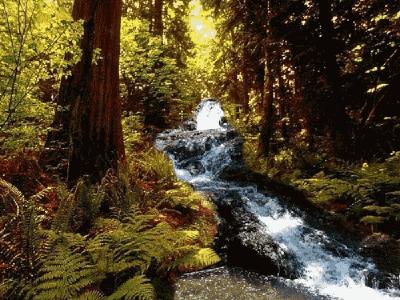 寒冬邂逅,世界杯中的温暖时刻