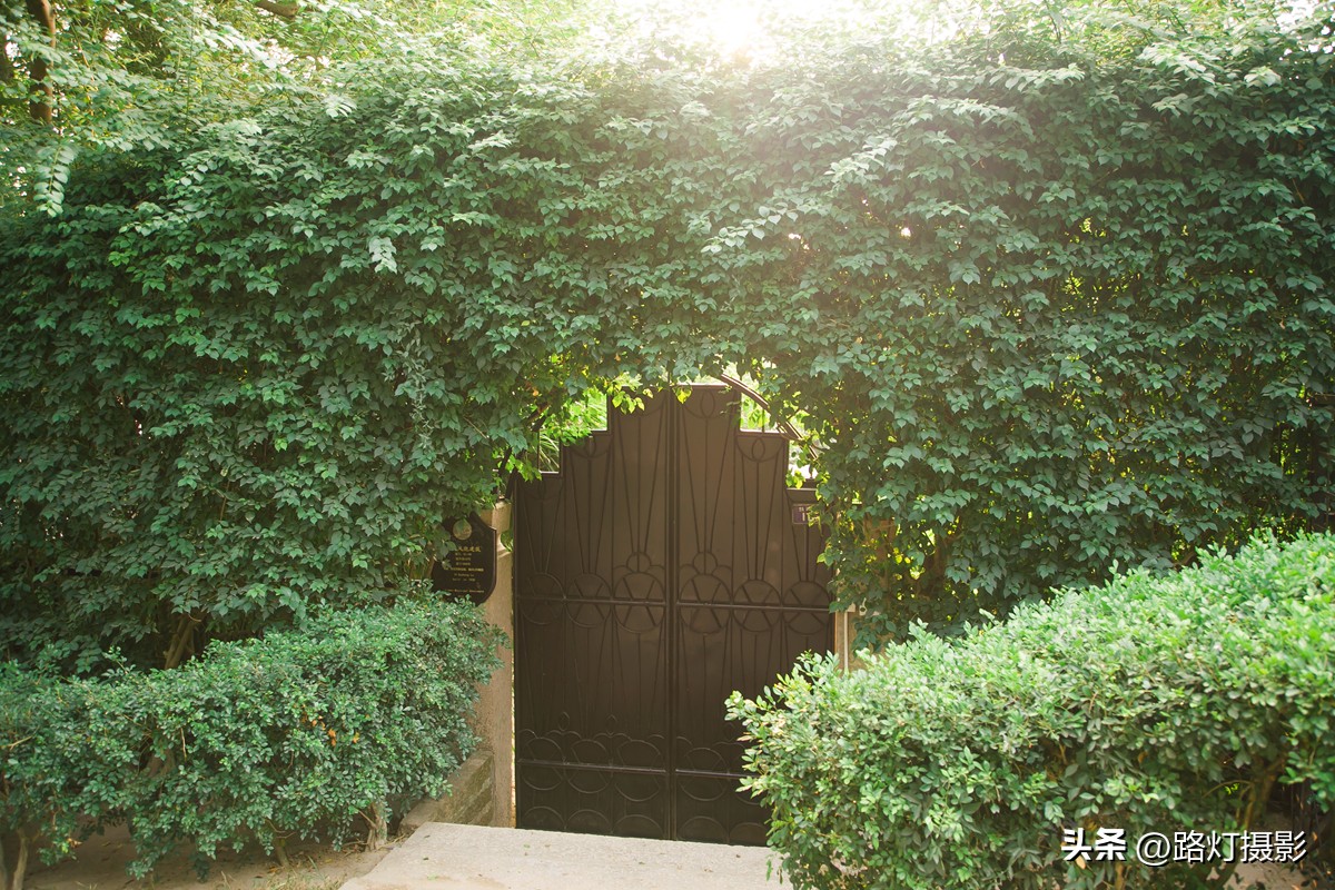 中国最好玩的海滨城市排名,中国沿海城市最美的海边