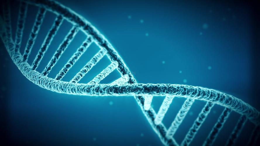 吸一年的烟对人的危害,吸一辈子烟