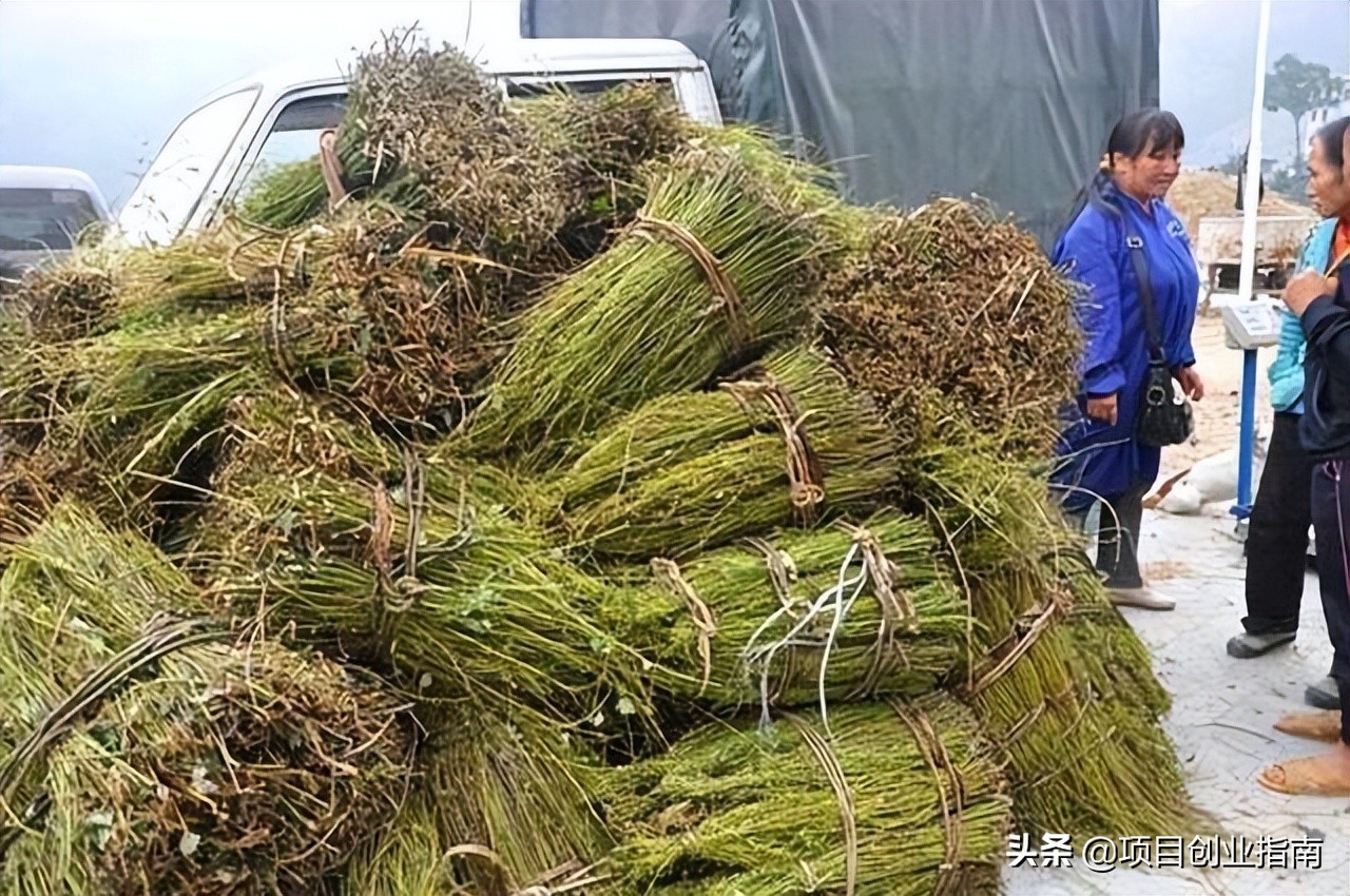 白手起家创业最适合做哪些小生意,白手起家的人最适合做什么生意