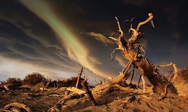 来自塔里木《塔河文苑》：睡着的胡杨