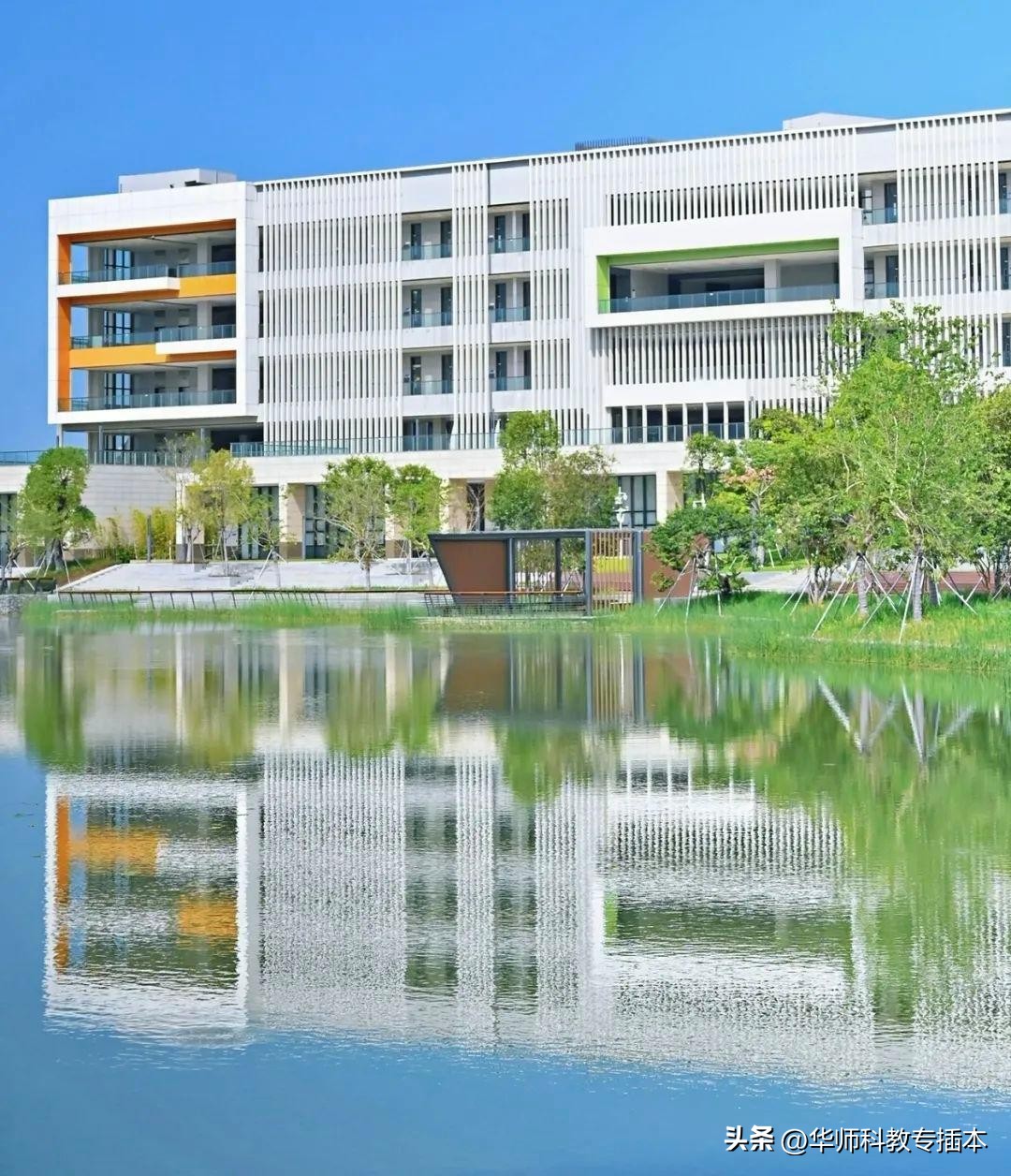 2022深圳技术大学专升本最低分,深圳技术大学2024年专插本