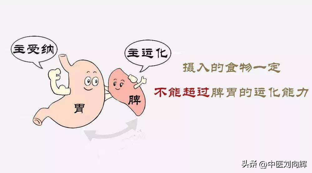 脂肪肝对应中成药,脂肪肝健脾除湿的中成药