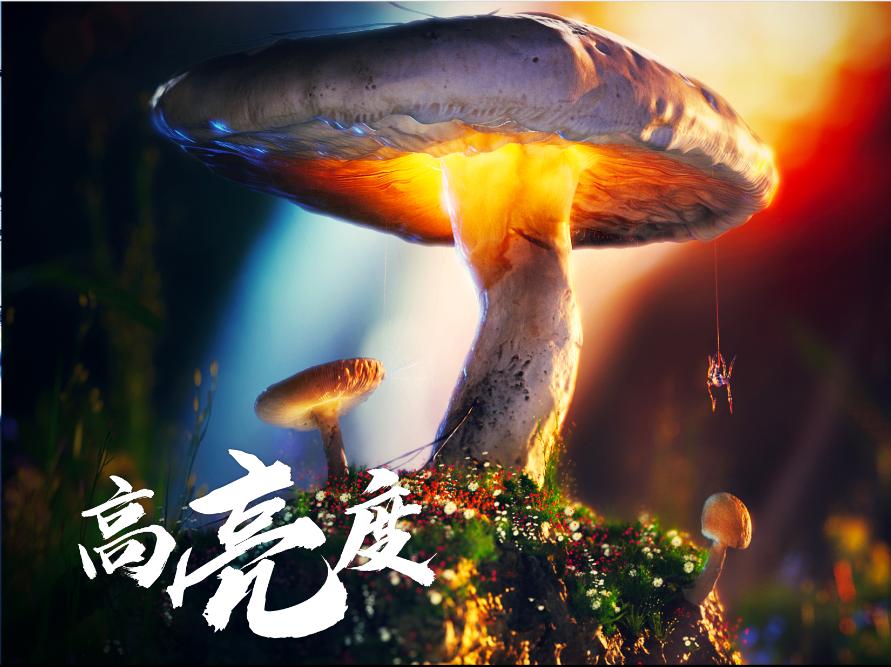 阿凡达2哪种影厅观影效果最好,阿凡达2内地定档博纳