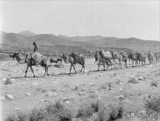 民国时期的邢台,民国时期邢台