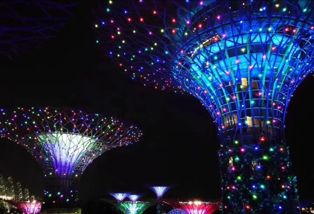 滨水休闲产业全球考察之旅(十一)新加坡滨海湾花园的新颖创意