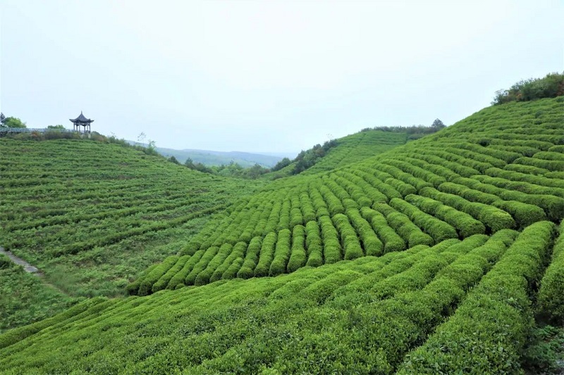 都匀大桥头五一音乐节,五一旅行去哪玩贵州省都匀市
