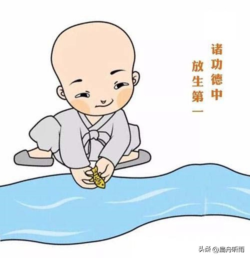 放生是生命的最高境界,放生的感悟真实故事