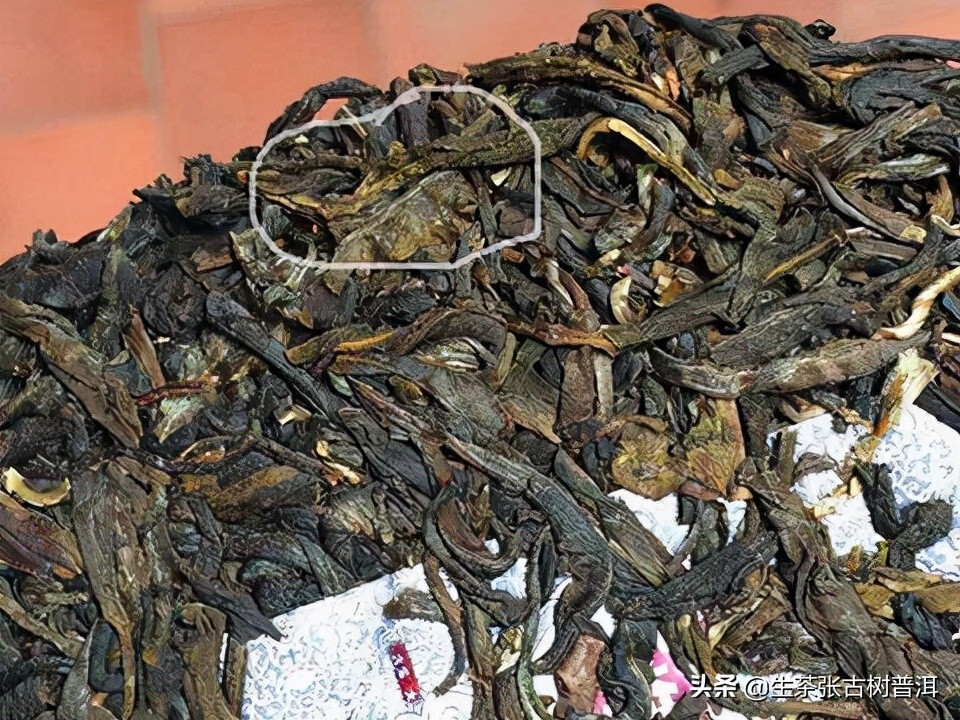 普洱茶品质和特征,普洱茶的品质