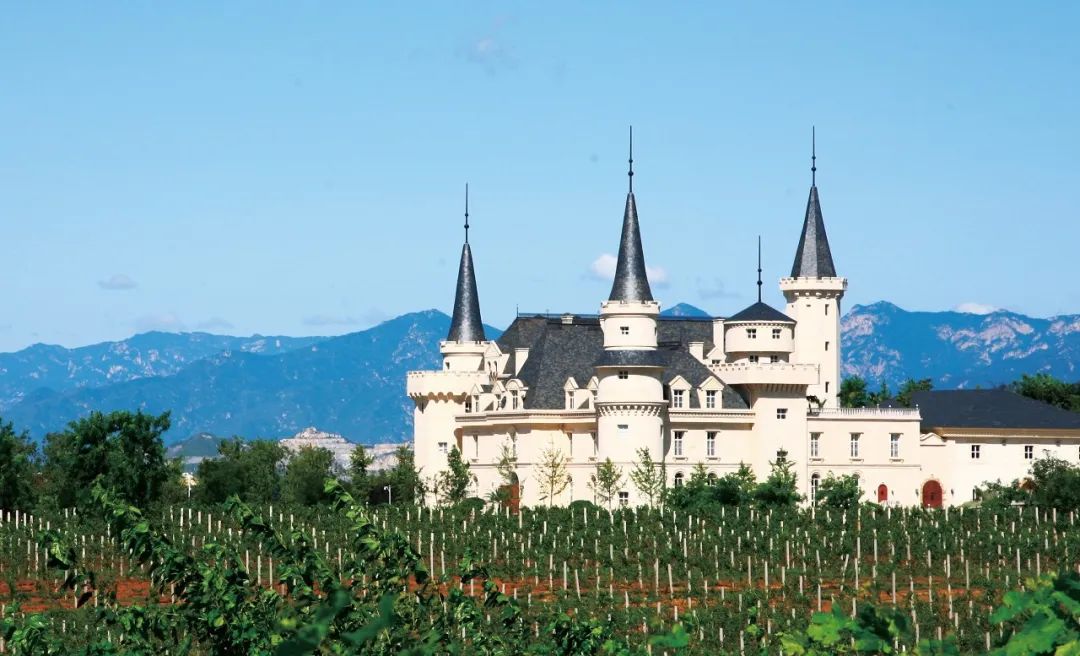 张裕酒庄经典原浆,张裕国礼酒