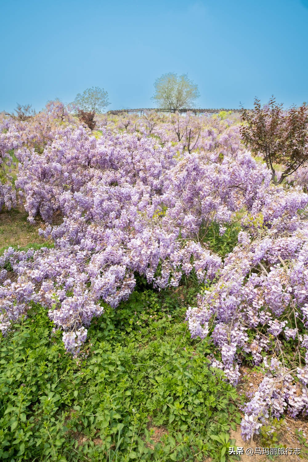 宿州到底有多好耍的地方,宿州有哪里值得去的地方
