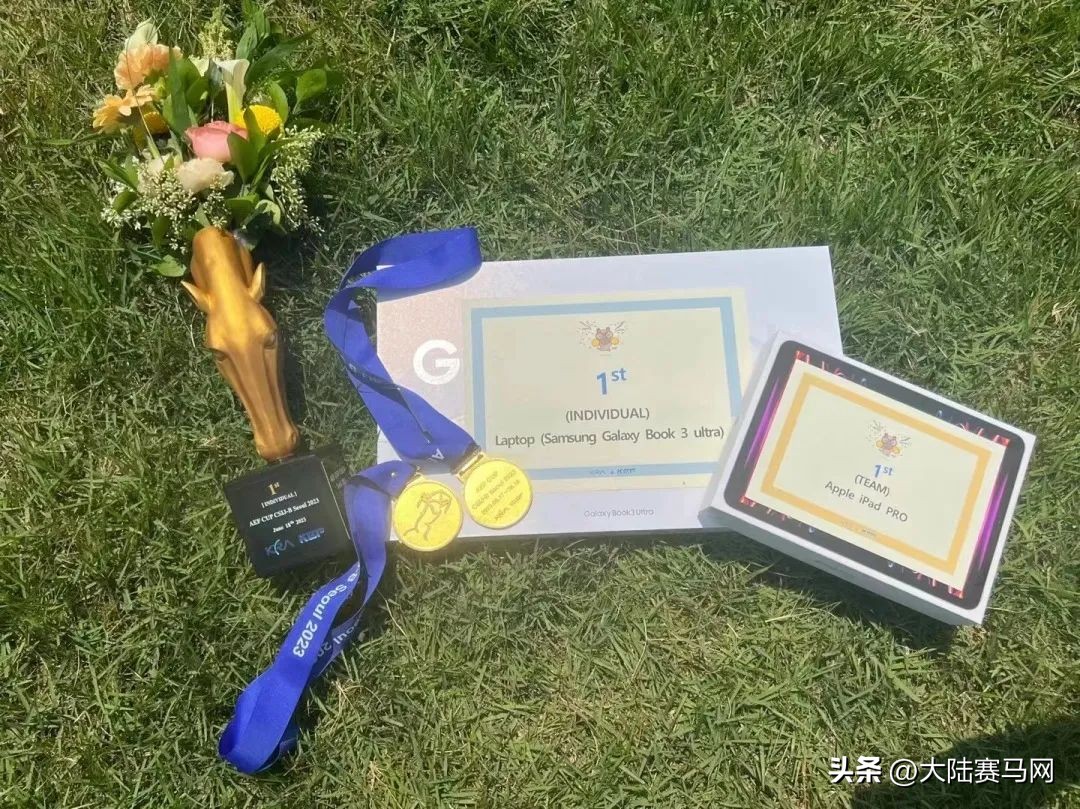 上海爱久马术俱乐部有限公司,上海爱久马术骑乘运动