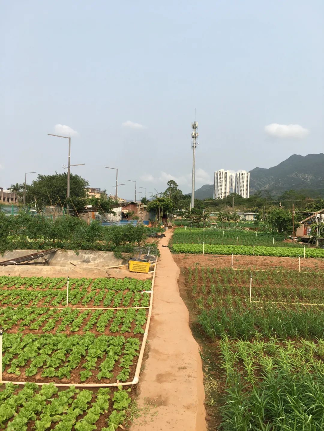 旭光车行雅迪电动车,旭光单车