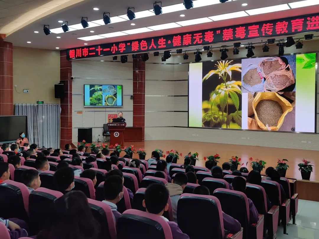 预防教育丨开学第一课禁毒知识开讲啦