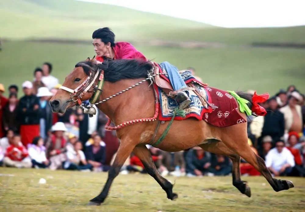 自驾游夏天避暑路线推荐,夏季旅游避暑自驾攻略图