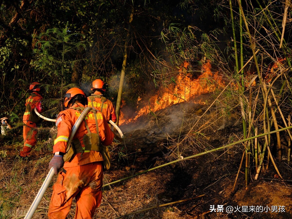 2022年都发生了什么大事？我们一起来看看吧！