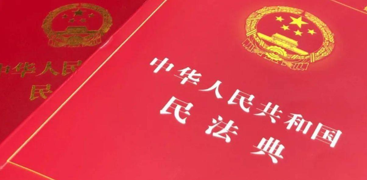 丁某、龙某、张某诉大地公司决议撤销纠纷案之评析