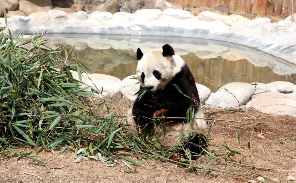 这才是清凉夏天的打开方式,清凉一夏夏天的正确打开方式