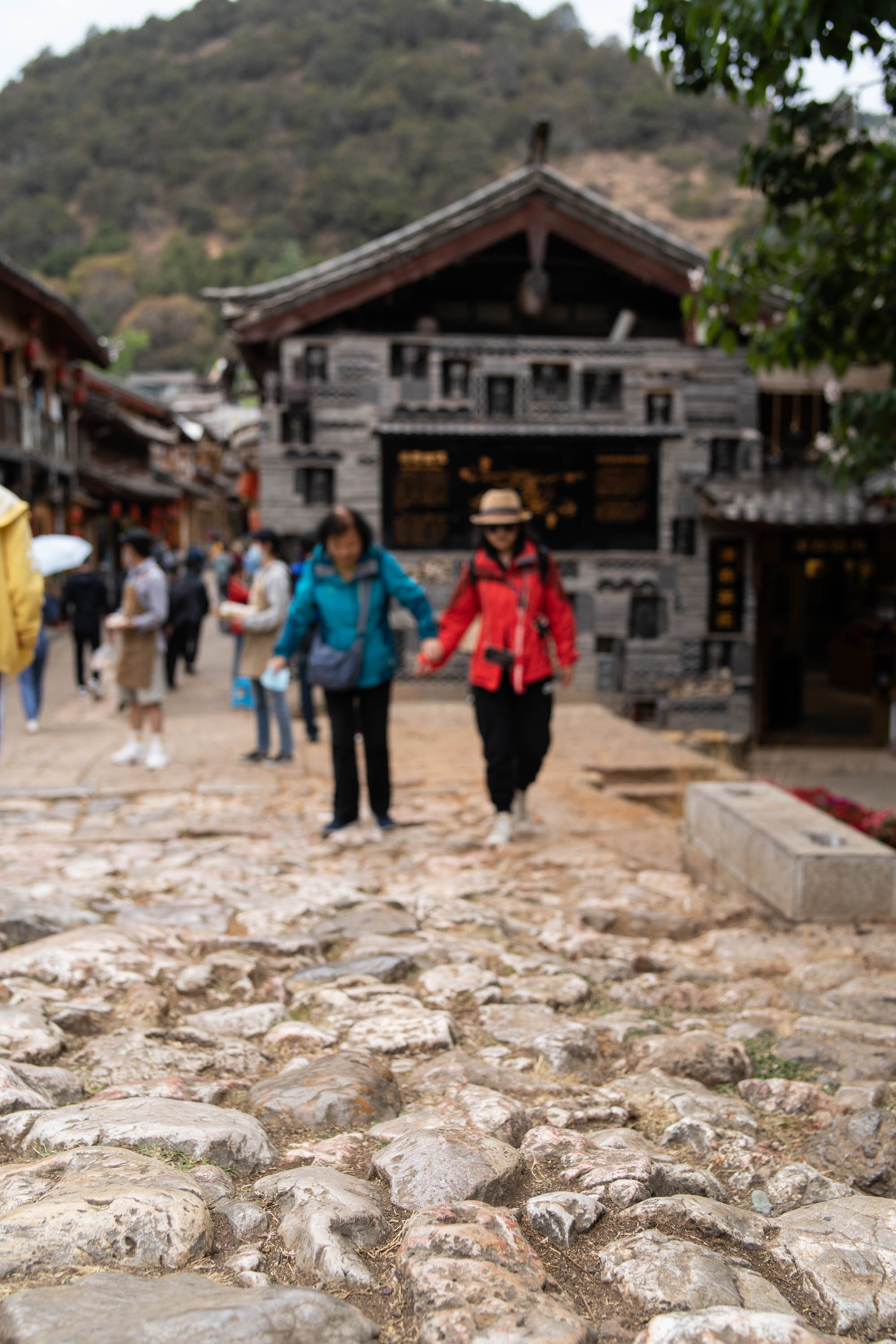 去云南跟团一日游攻略图片大全集,云南跟团六日游攻略大全图片