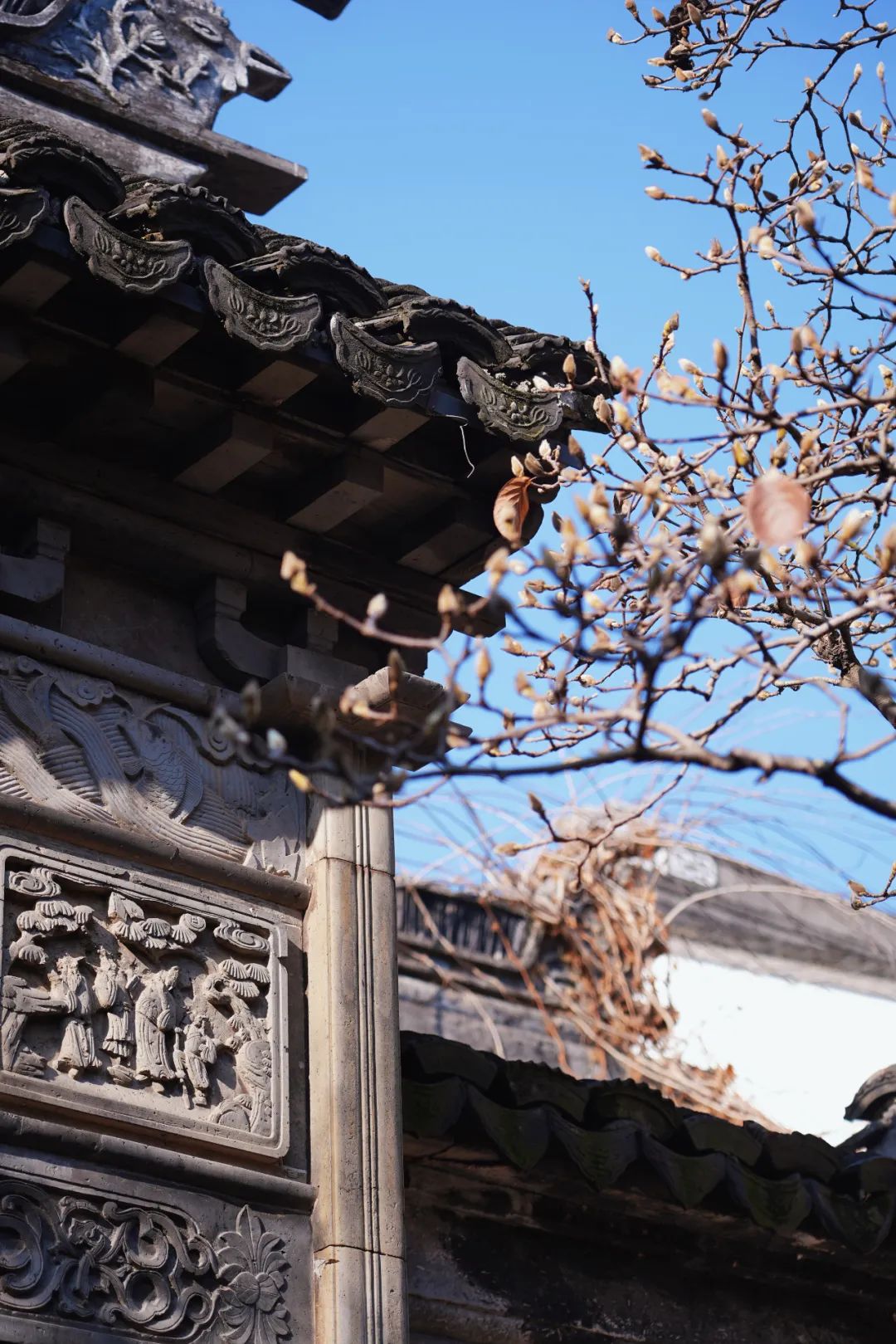 周庄古镇风景区打卡,周庄水乡小镇一日游