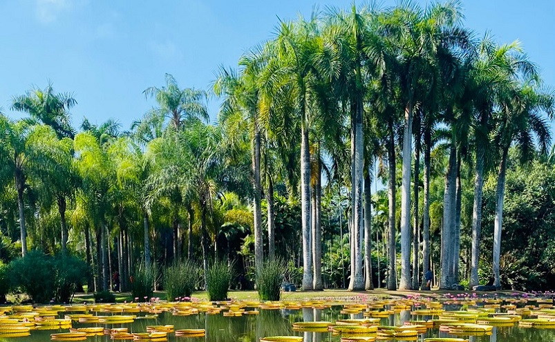 云南建水旅游十大必去景点,云南丽江十大旅游景点