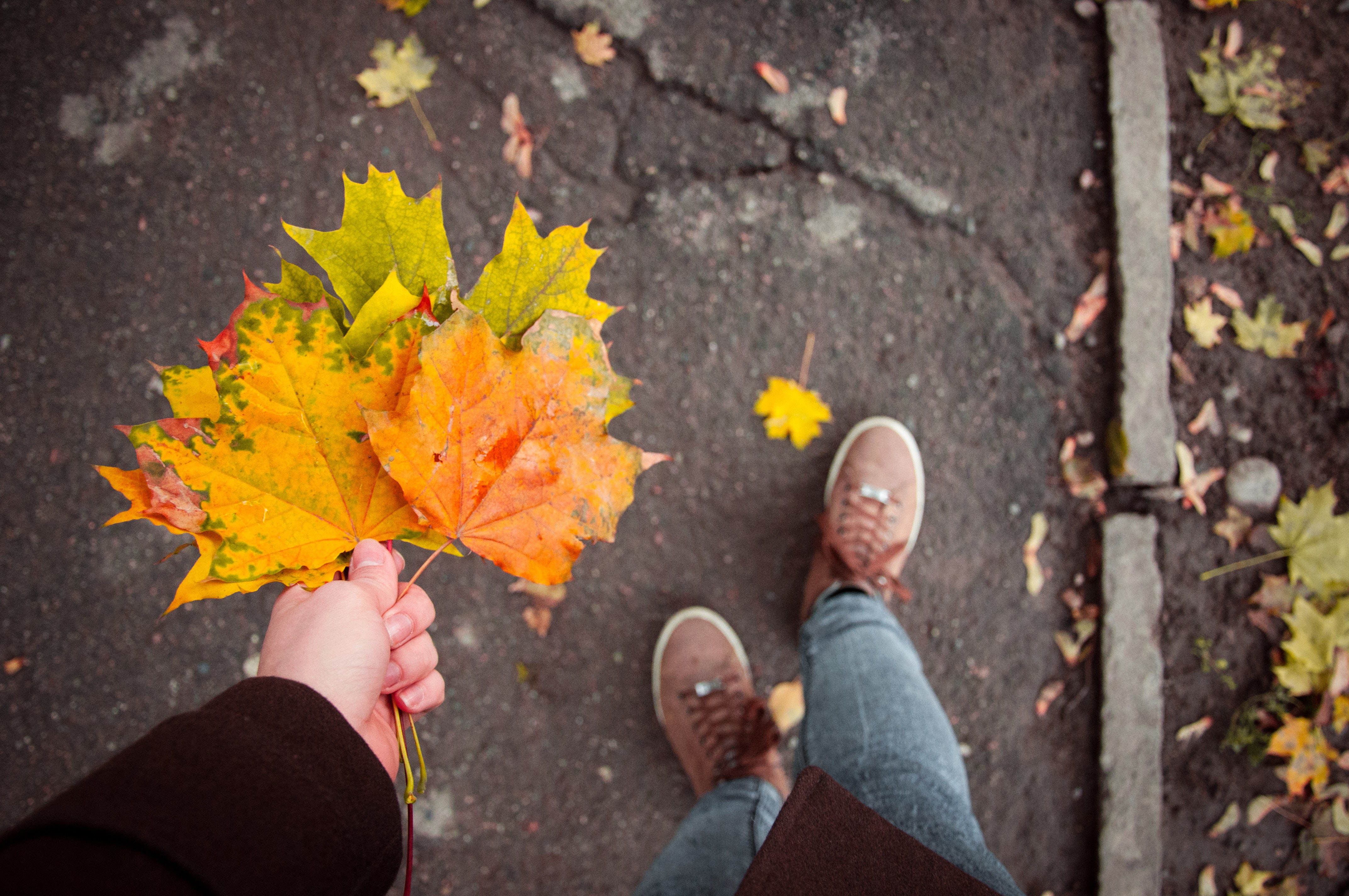 刚开始自媒体怎么做才能赚钱,新人做自媒体如何快速赚钱