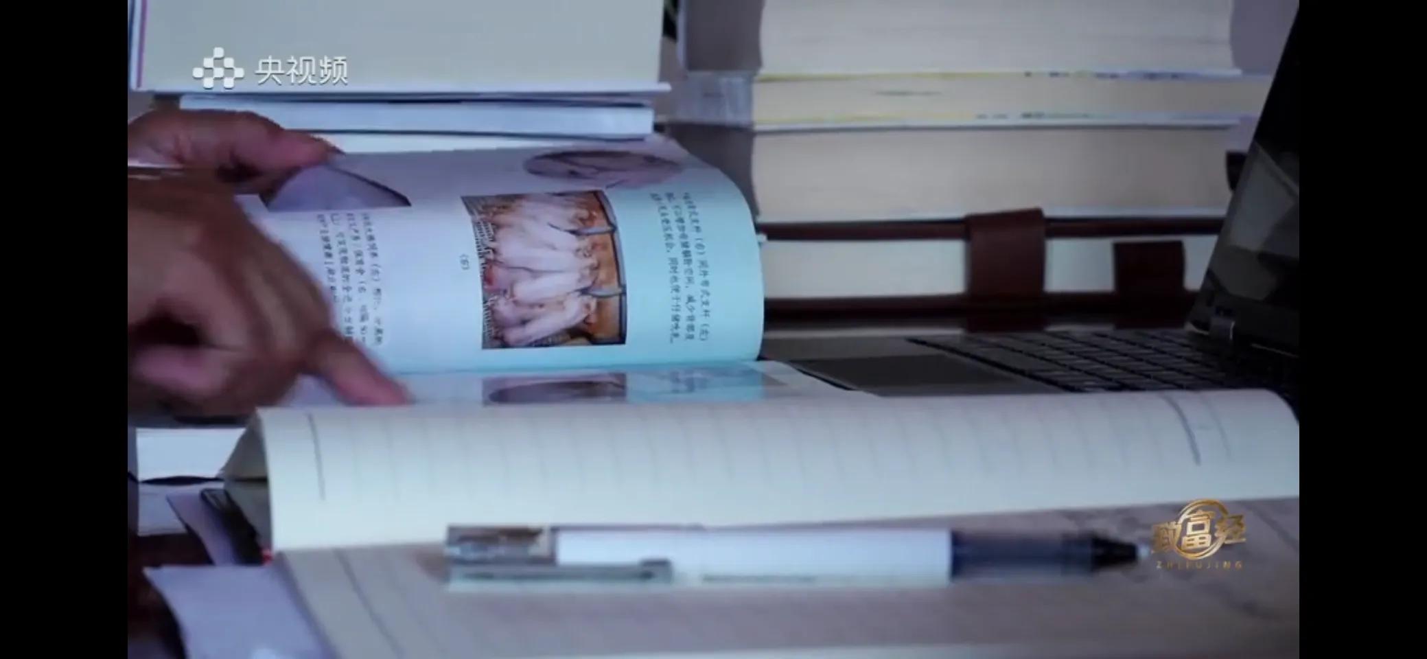 小伙子养猪5年后挣钱5多亿,农村小伙养猪赚过亿