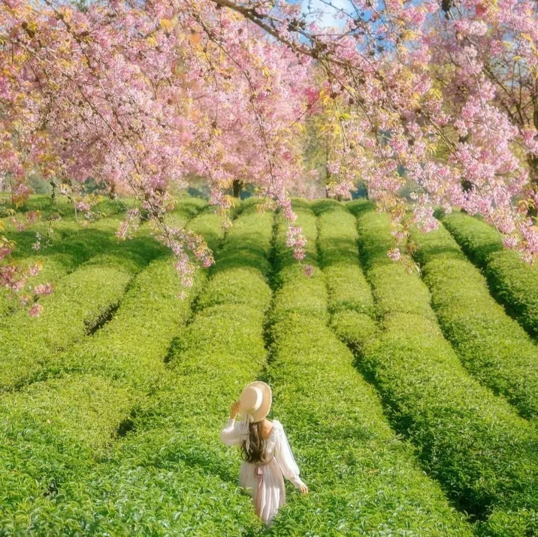 风景素材治愈系哪里找,高级感风景治愈系图片