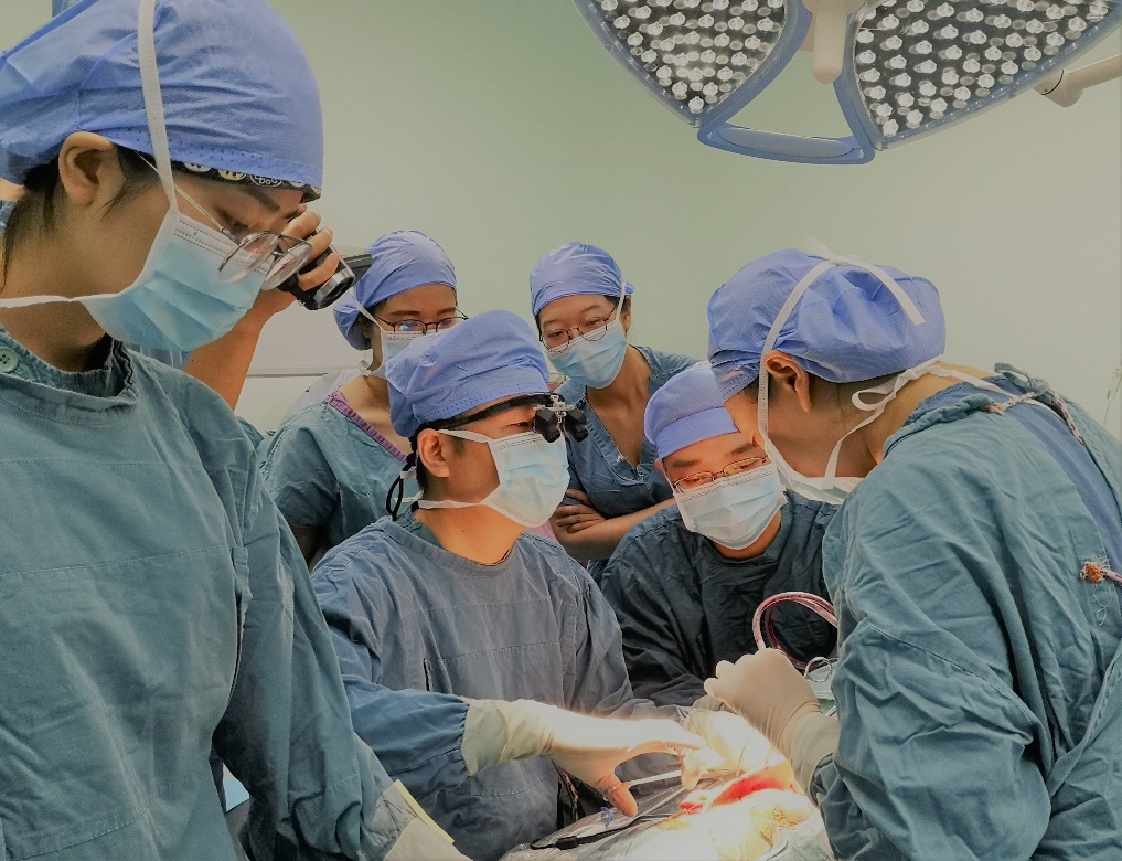 寻访身边的最美的科技人员,寻访最美科技工作者