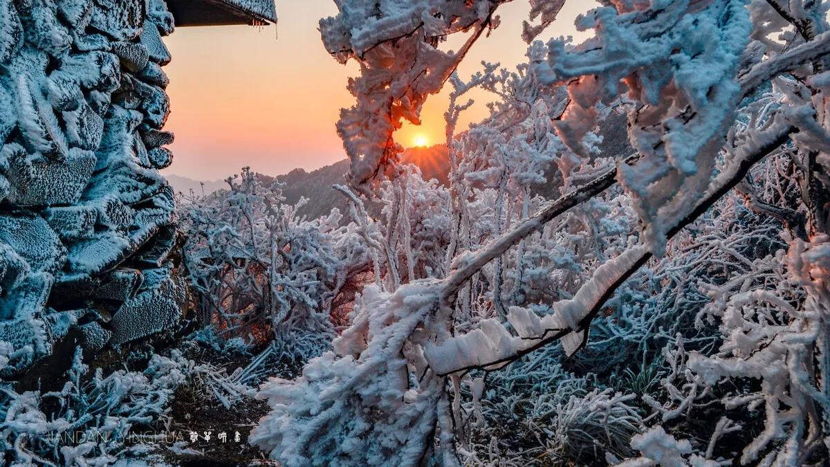 冬日的暖阳,冬日的暖阳透过树影温暖人间