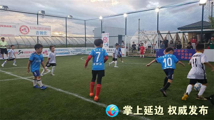 我州“54”足球联赛开赛小球员挥汗球场畅享快乐足球