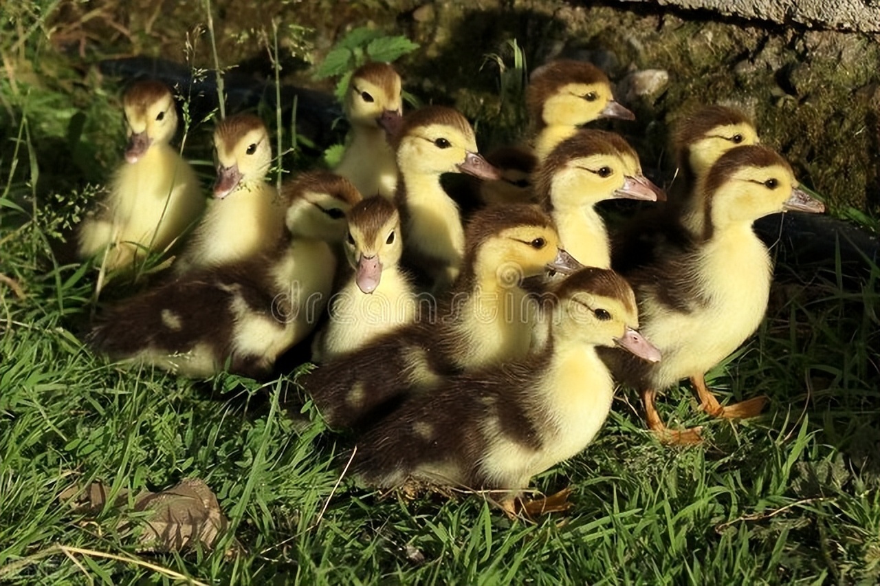 六一儿童节饭店营销活动,六一节餐厅套餐