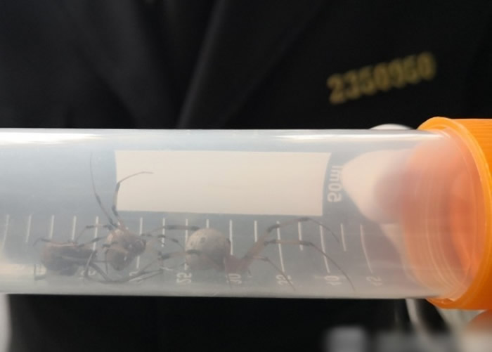 成都海关唾液样本是否有病毒,物品携带细菌病毒